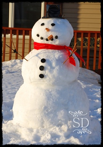 [Snowman2011[2].jpg]