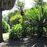 Huntington Library