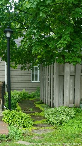 [Cathy Kimbers garden 2[6].jpg]