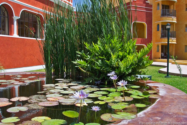 [Mexico Water Garden[8].jpg]