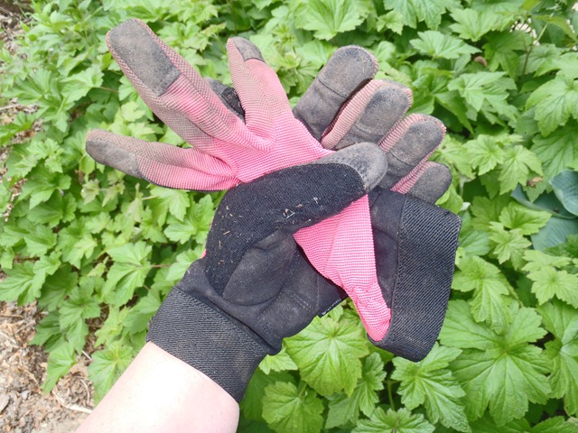 [Womens Work Gloves Dirty[3].jpg]
