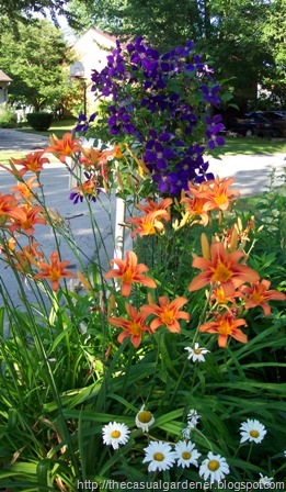 [MailboxGardenPerfection8.jpg]