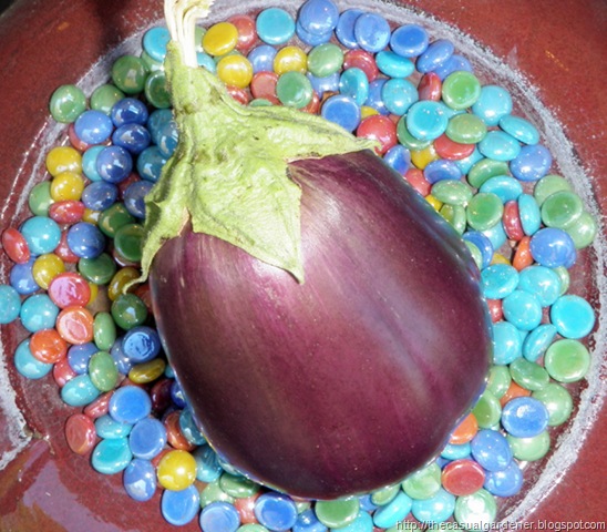[Eggplant 09[12].jpg]