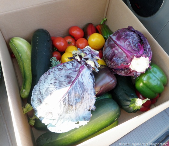 [FoodPantryDelivery9.jpg]