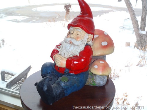 [My First Gnome[8].jpg]