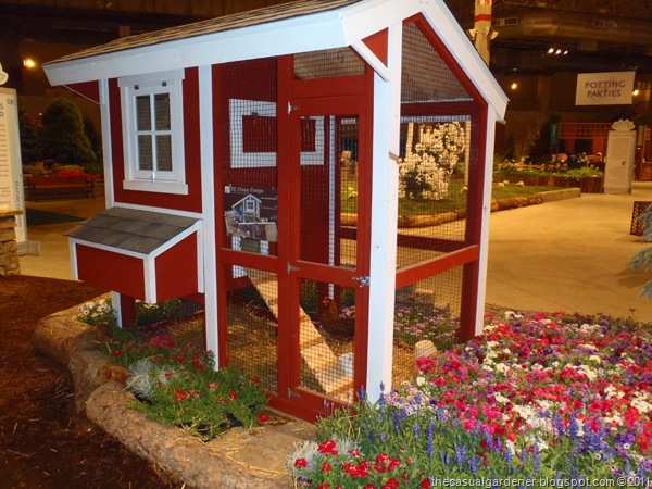 [Chicago Flower and Garden Show Chickens[9].jpg]
