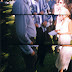 matt and jac wedding - mus guts and nic.jpg