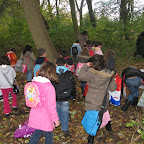Groep 3b in het bos