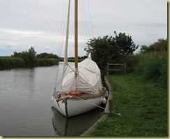 IMG_1000 IMG_1000