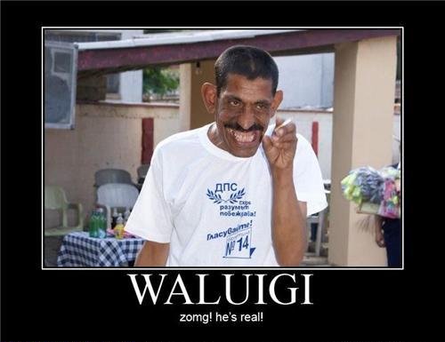 waluigi.jpg
