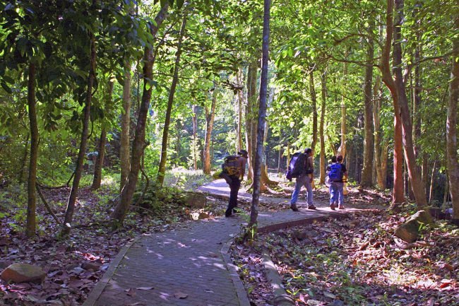 Puteri Mandi Waterfall Jungle Tracking