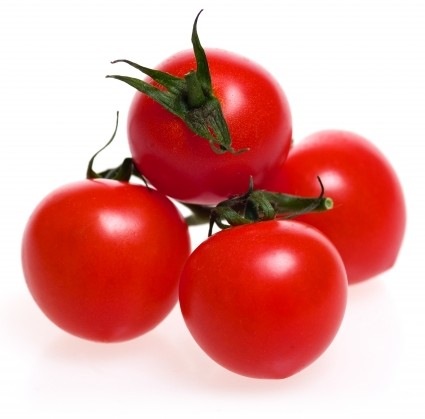 [Tomatoes17.jpg]