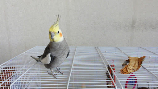 http://lh6.ggpht.com/_bkm4RiKQd9g/TFRCI0wmf0I/AAAAAAAAAWo/vK5diGLCDRU/DSC01538.JPG