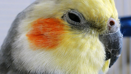 http://lh6.ggpht.com/_bkm4RiKQd9g/TFRKGx4WXOI/AAAAAAAAAXE/CJ1Q2CQVz8Y/DSC01693.jpg