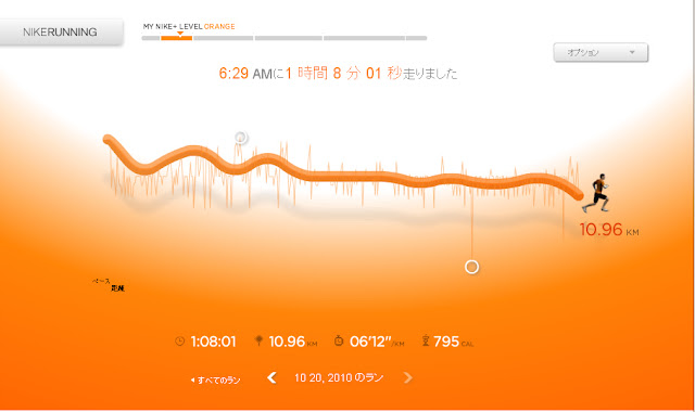 20101020のランの記録