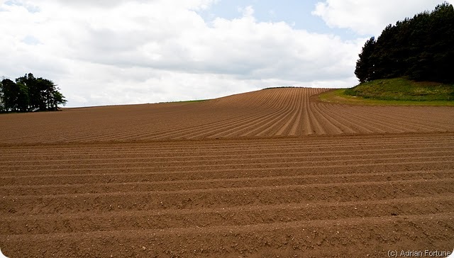 angus ploughing