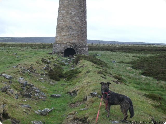 the flue chimney