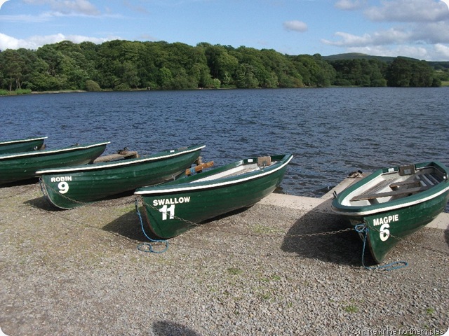 talkin tarn