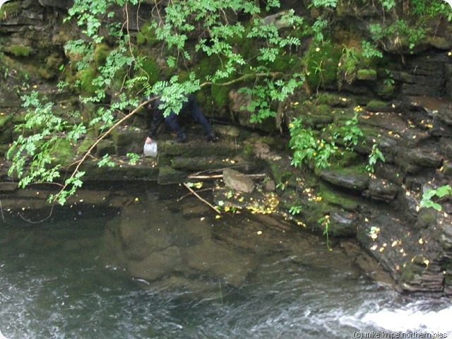 litter pick litter pick