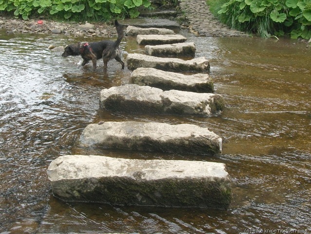[great coum 031[6].jpg]