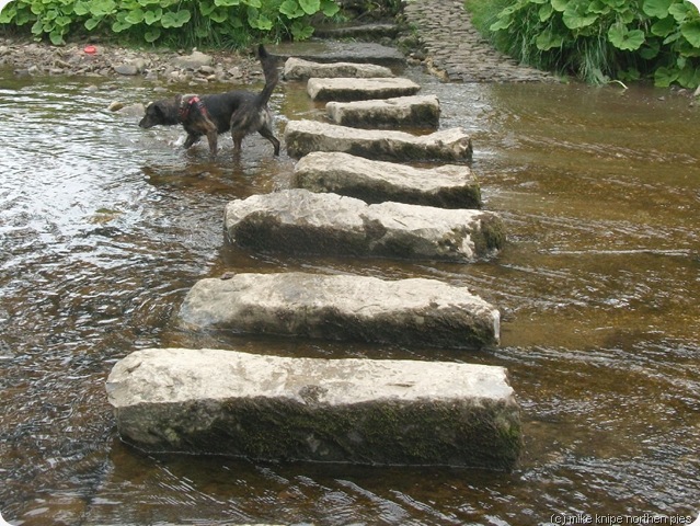 stepping stones