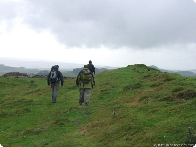 wall walkers