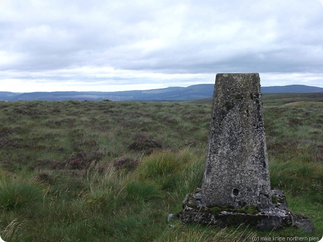 larriston fell trig