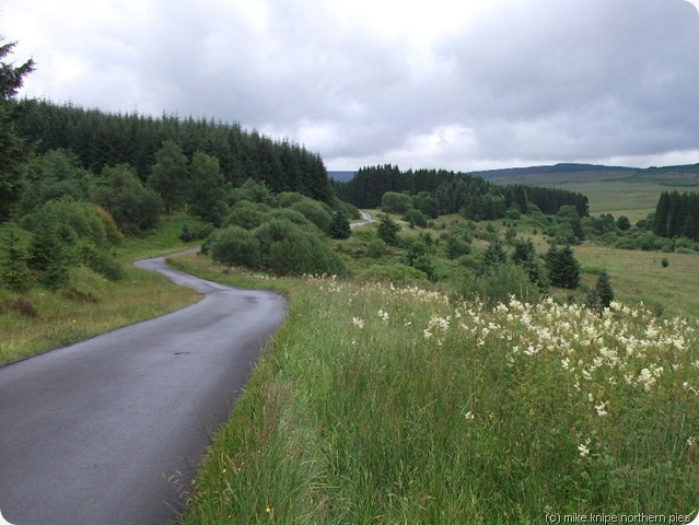 forest drive forest drive