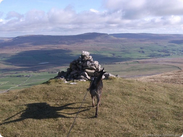 lords seat lords seat
