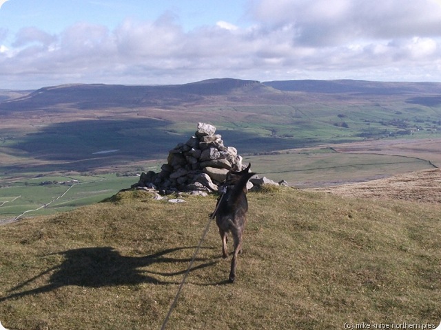 lords seat