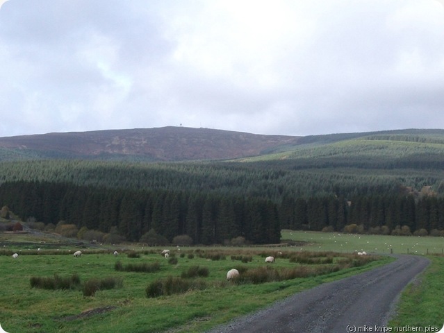 deadwater fell from kielder head