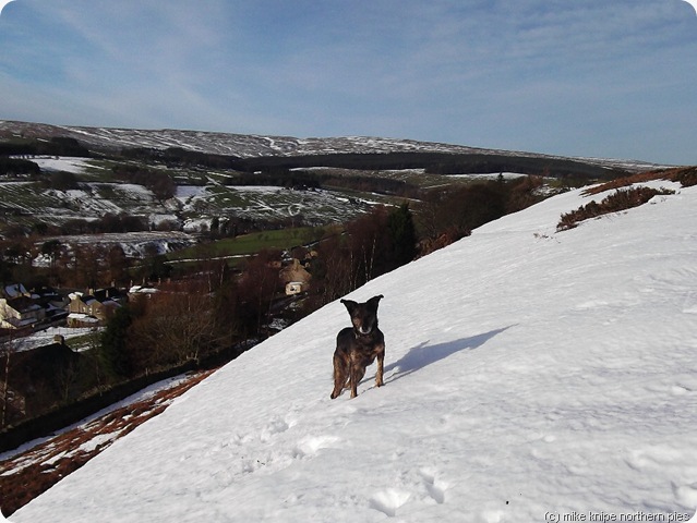 tonto on crawleyside edge tonto on crawleyside edge