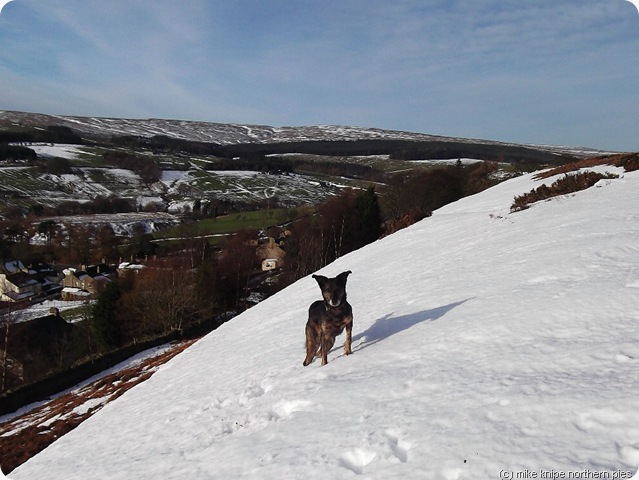 tonto on crawleyside edge