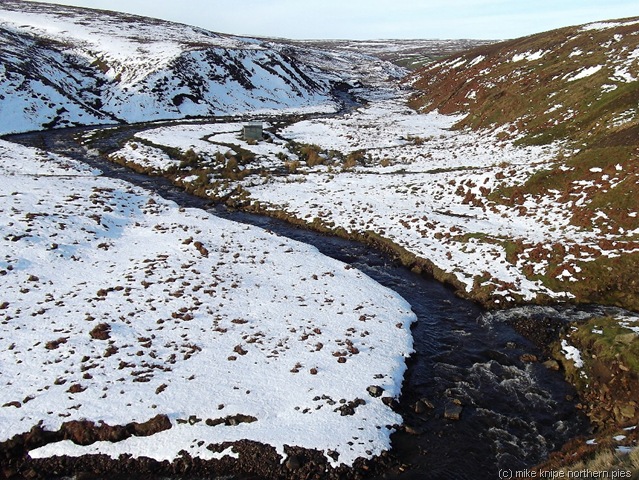 [stanhopedene0056.jpg]
