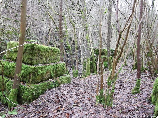 viaduct founds for piers