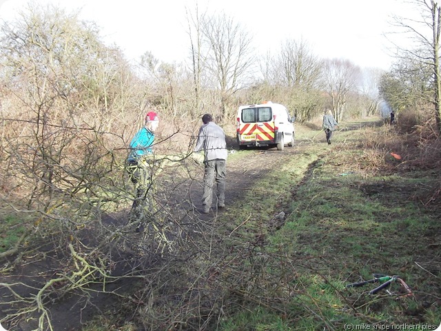 dragging a tree off for trial by fire