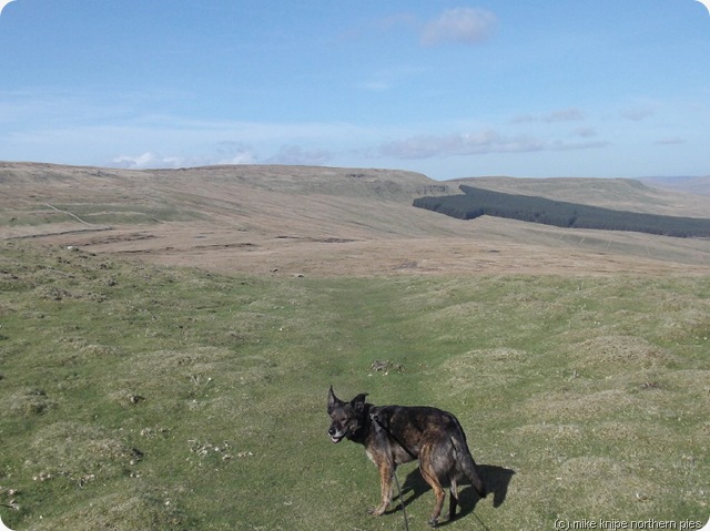 wold fell