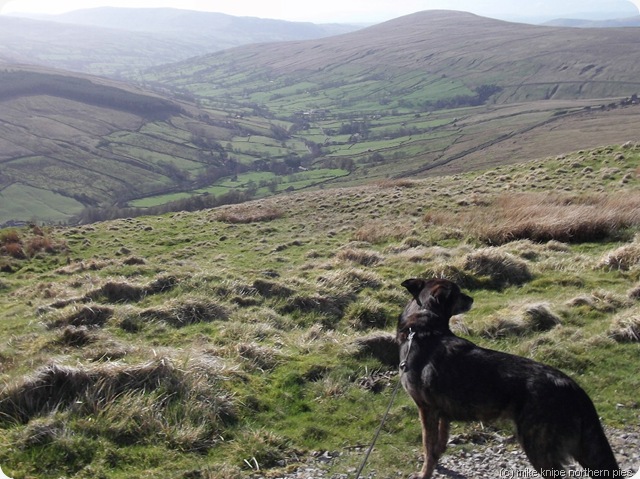 view of dentdale