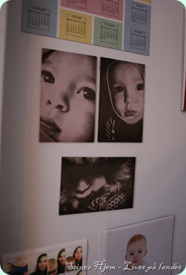 IMG_9891 IMG_9891