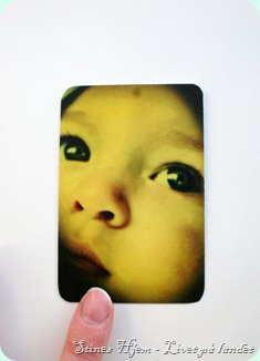 IMG_9897 IMG_9897