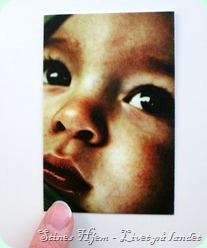 IMG_9898 IMG_9898