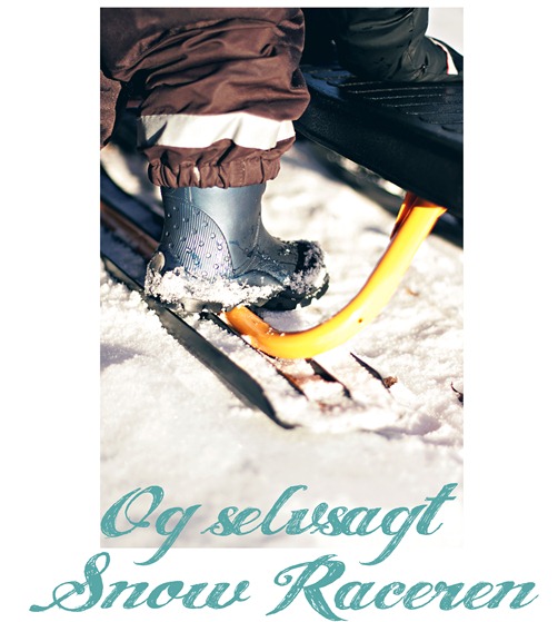 SnowRacer SnowRacer