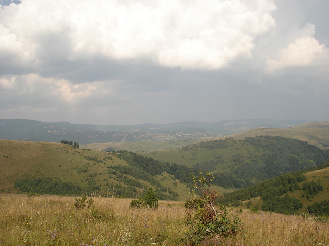Kép