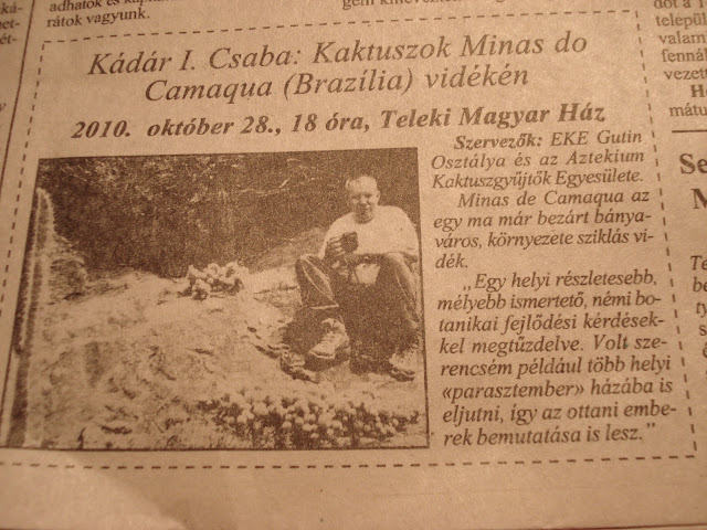 Kép