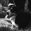 IMG_8636.JPG