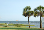 DSC_0292.JPG