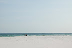 DSC_0294.JPG