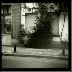 La nature reprend ses droits La nature reprend ses droits
