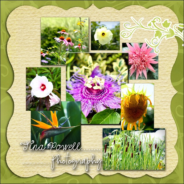 flower layout collage
