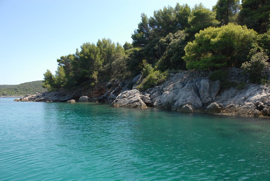 DSC_0125.JPG